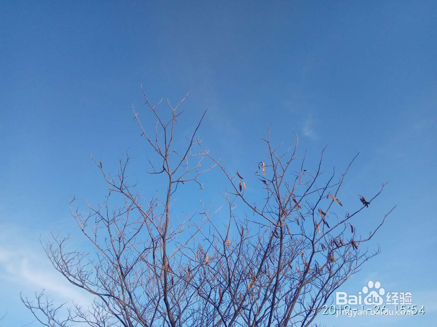 绿色旅游地推荐