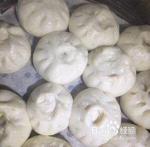 白菜粉条素包子咋做香