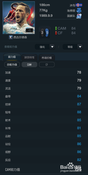 FIFA OL3霍芬海姆俱乐部球员推荐(下篇)