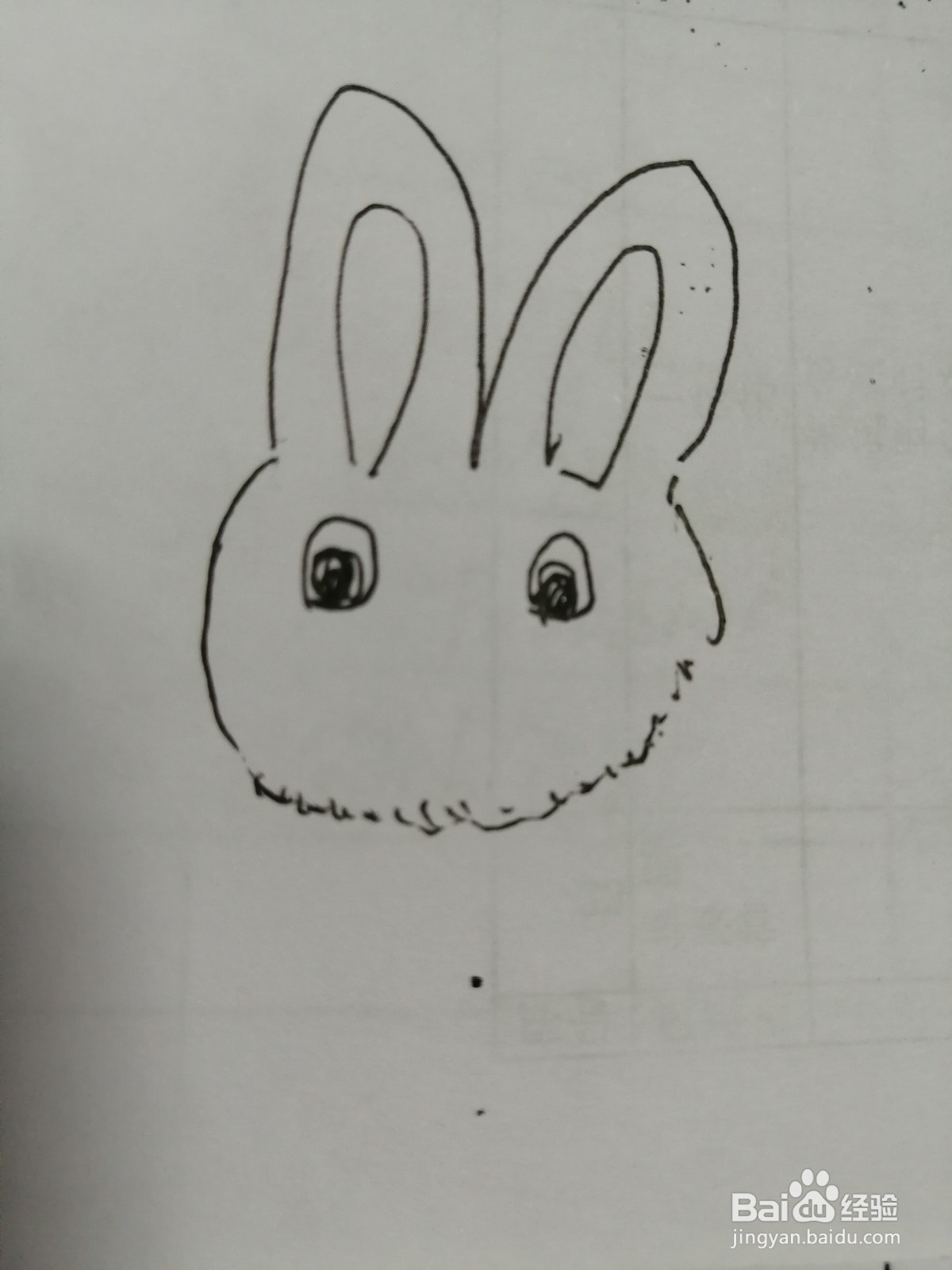 简笔画小白兔怎么画