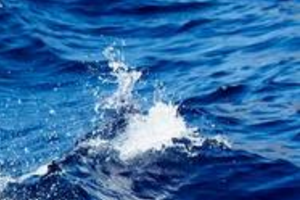 海水是什么颜色的