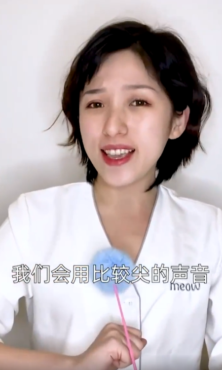 猫咪听到的世界是什么样子？