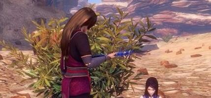 黄沙漠漠任务攻略