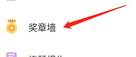 怎么查看导读的勋章墙