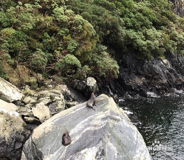 新西兰景点排名？