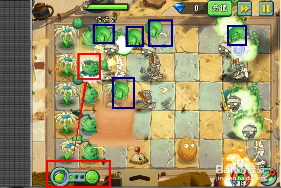 植物大战僵尸2:第4关的岔路口(神秘埃及)