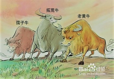 青少年如何发扬”三牛“精神