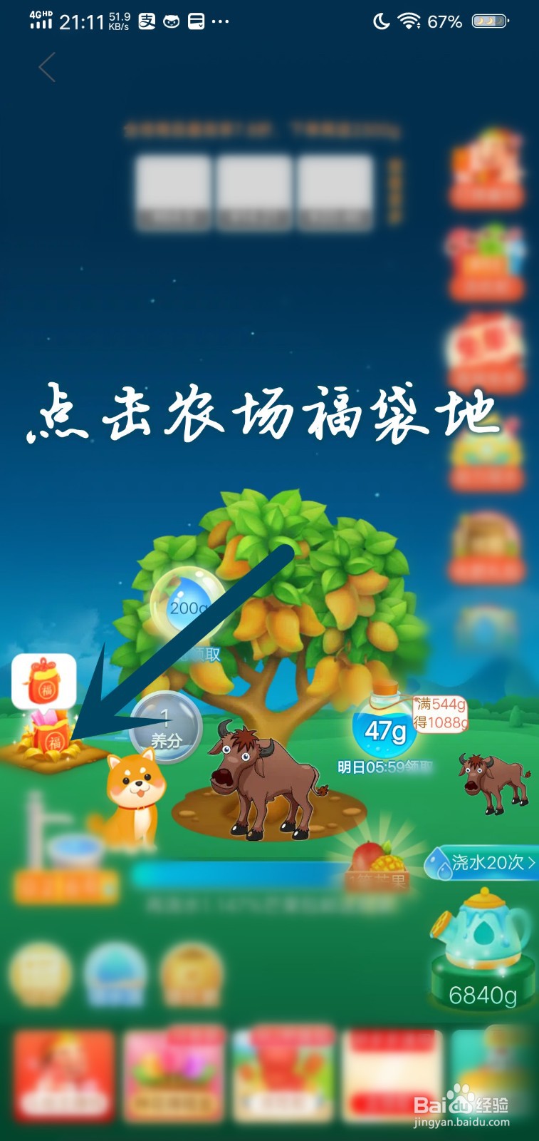 如何在农场领1个免费福袋种子
