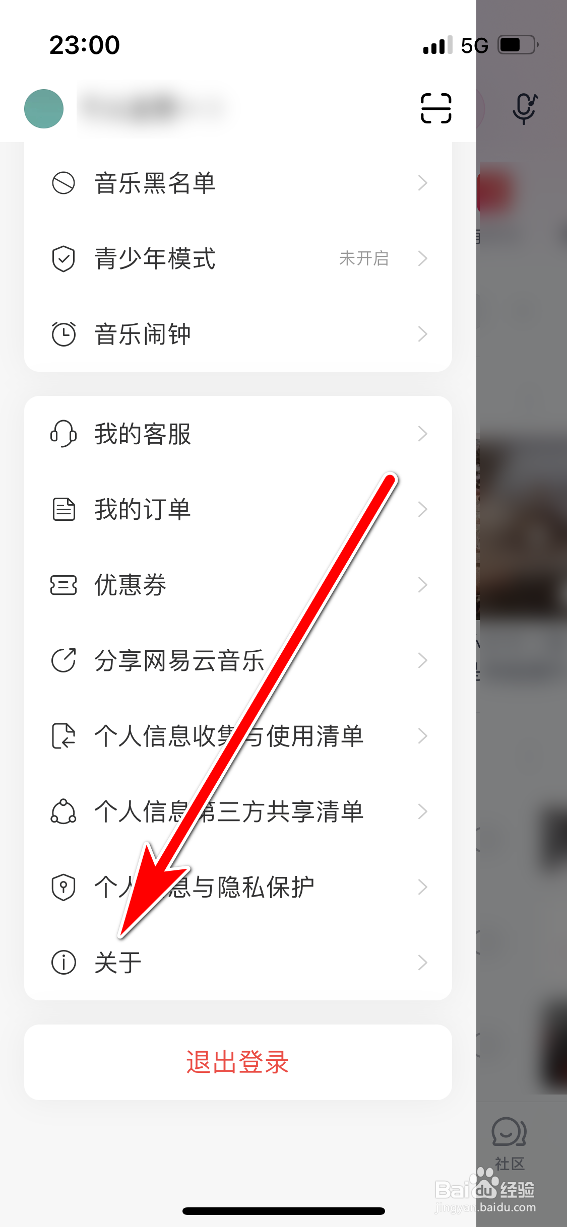 网易云音乐如何查询当前系统的版本号