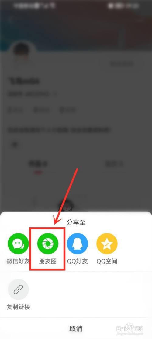 逗拍app主页链接怎样分享到朋友圈