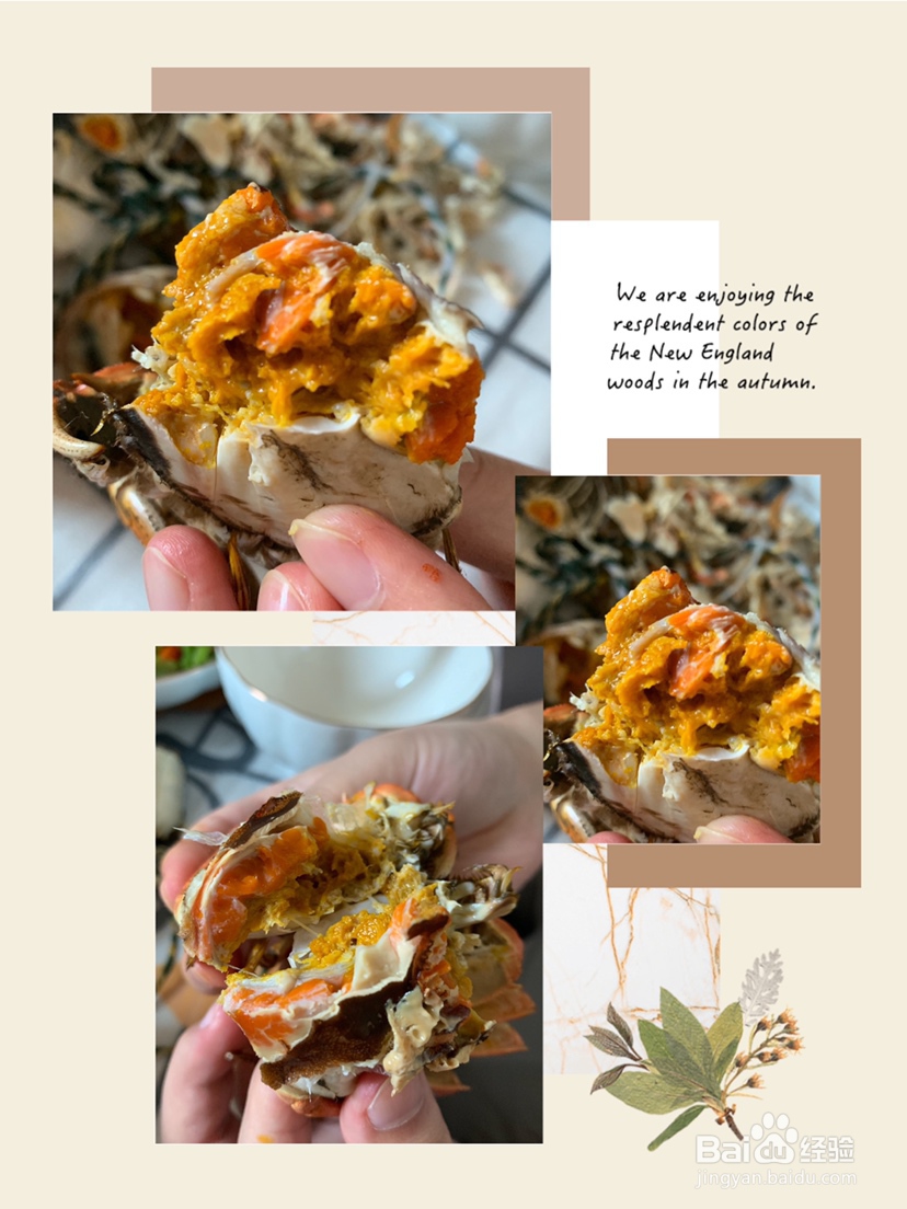 馋哭朋友的清蒸大闸蟹