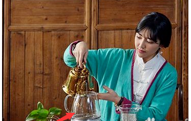 木瓜炖燕窝的做法