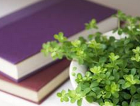 每天做到这几件事，不久以后你就会改变