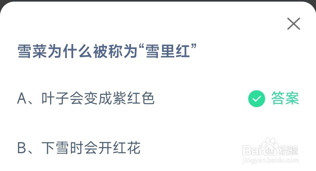 蚂蚁庄园雪菜为什么被称为雪里红