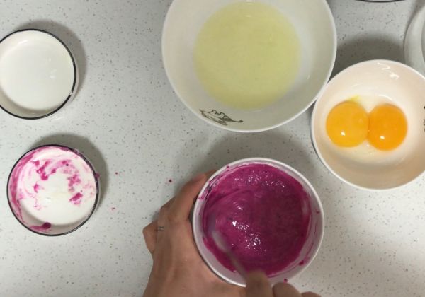 无糖火龙果蛋白溶豆