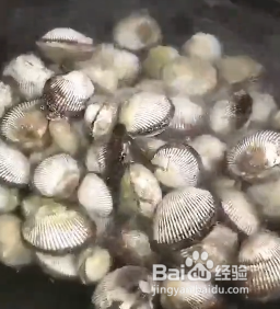 如何快速地清洗干净贝壳肉