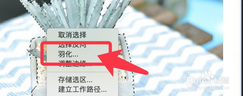 PS如何使用套索工具抠图