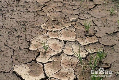 改良土壤的方法