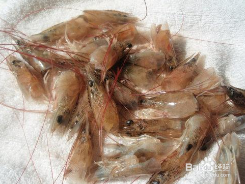 1岁宝宝吃虾的禁忌