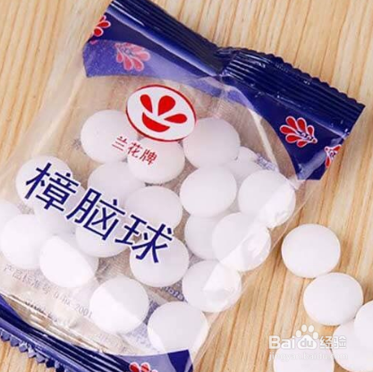 夏天垃圾桶很多小飞虫怎么处理