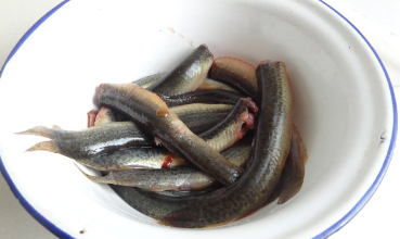 泥鳅挂面的做法是什么