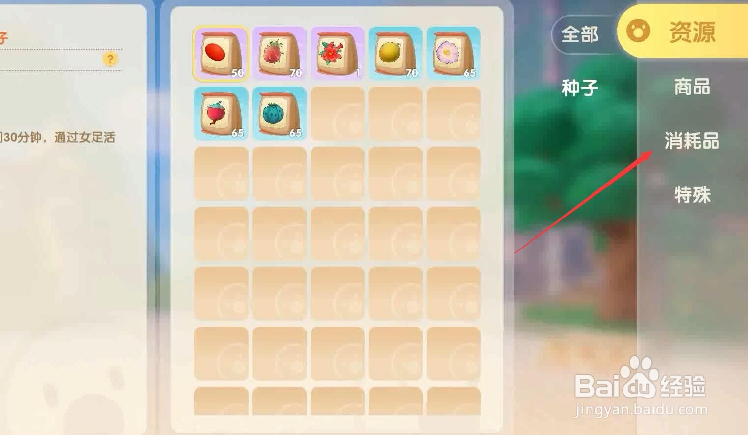 摩尔庄园手游孔明灯有什么用