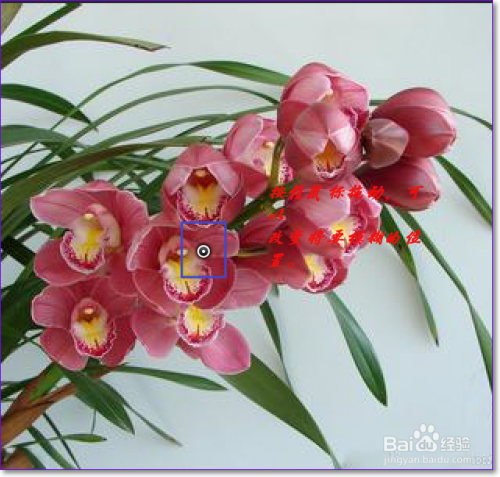 【PS】场景模糊的使用技巧