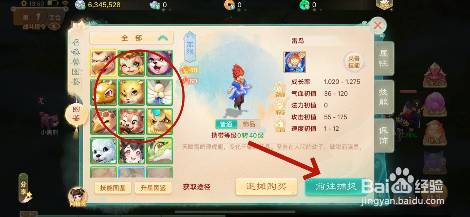 大话西游如何捕捉灵兽