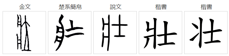 壮的偏旁叫什么名字