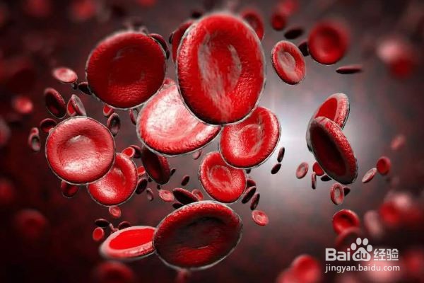 检查血脂有哪些注意事项