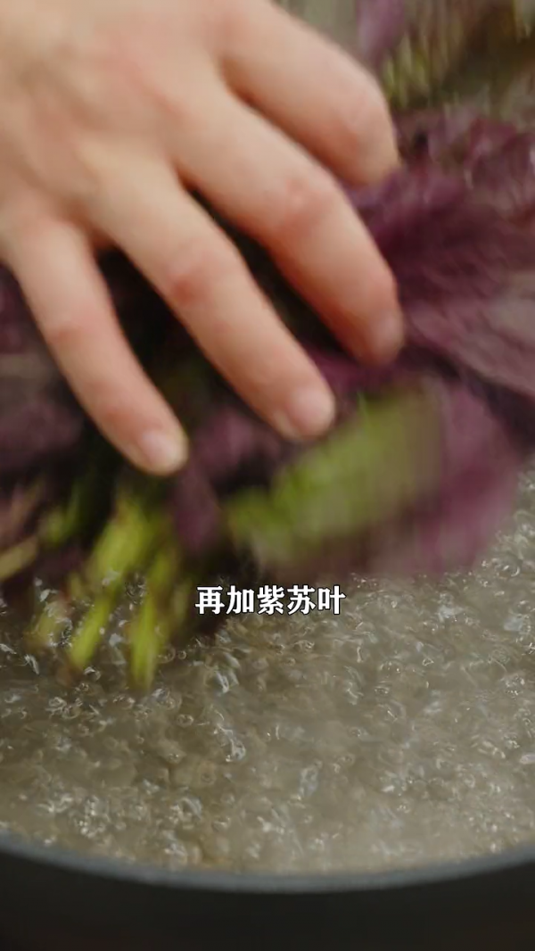 紫苏杨梅桃子姜