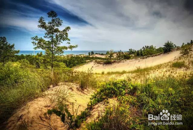 美国租车去哪玩?美国租车最强景点攻略!