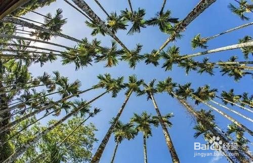 实物资产清查方法