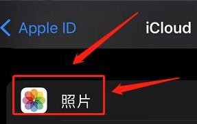 苹果备份照片在哪里找出来