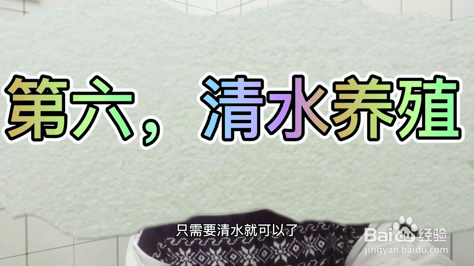 水仙花怎么种植方法？