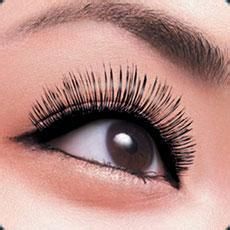 七步刷出纤长迷人睫毛