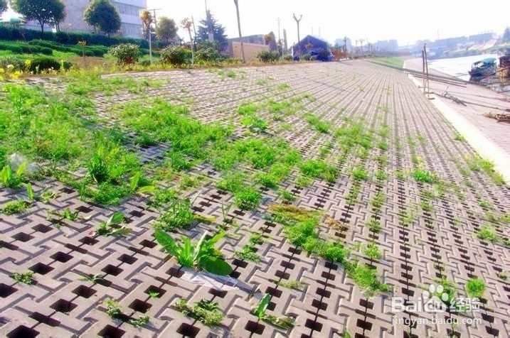 河道生态护坡框河堤边坡选中力通新材