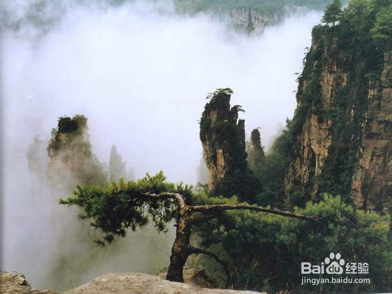 青岛到张家界自驾游