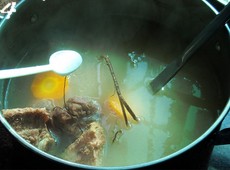 五指毛桃猪骨汤