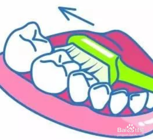 正确的刷牙方法