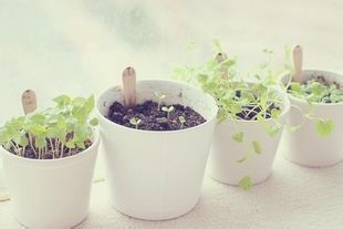 如何利用手机助手给智能手机安装软件