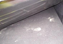 后备箱经常发霉怎么办