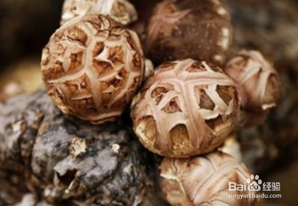 香菇不能跟哪些食物一起食用