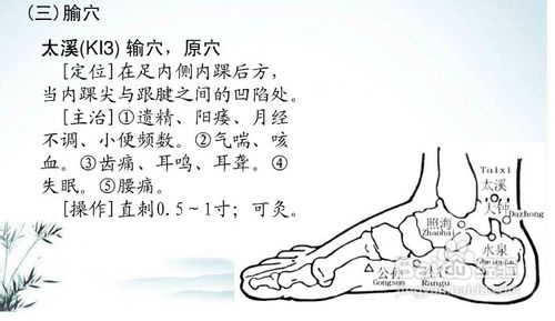 中医经络知识之足少阴肾经图解