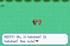 口袋妖怪圣灰攻略图片5