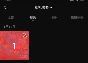 视频怎么消音人物对话