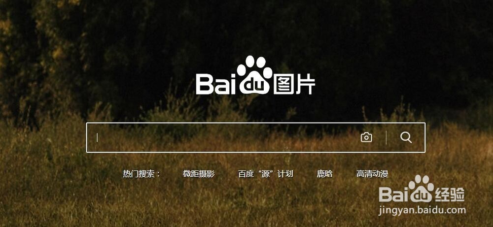 如何获取网络图片
