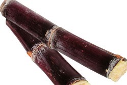 哪些水果可以治疗牛皮癣