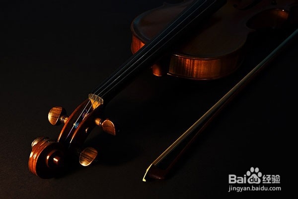 怎样选购提琴