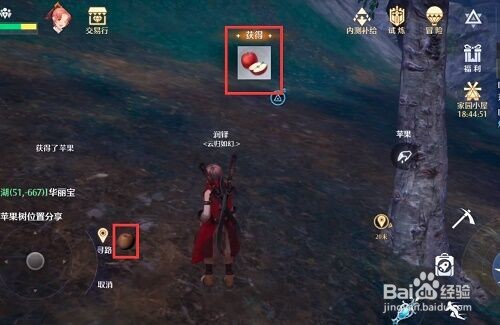 诺亚之心苹果树位置分享